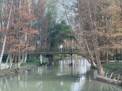 -桤木河湿地公园