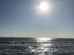 -天宝海鲜酒楼(开发区珠江道店)