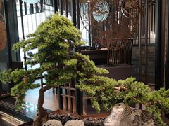 -湊湊火锅·茶憩(东城万达店)