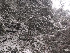 -青城山