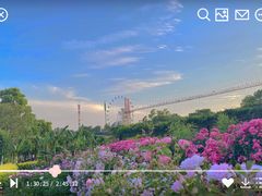 -花博汇(知音花月夜)