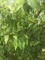 -大望京儿童游乐场