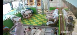-国际月月生母婴月子中心(旗舰店)