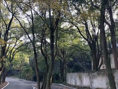 -石燕湖生态旅游景区