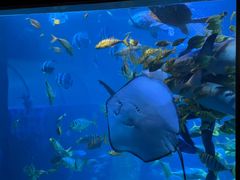 -太平洋海底世界