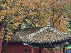 -报恩寺(平武县)