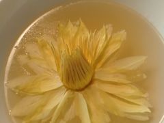 -鱼桥巷·美学川菜