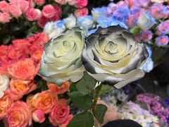 -循礼门鲜花花市(武汉循礼门店)