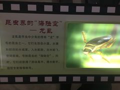 -上海昆虫博物馆