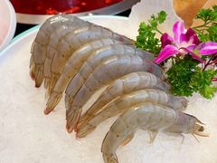 -佬土鹅肠火锅(解放路店)