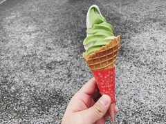 蛋筒-豆政(金閣寺境内売店)