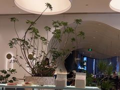 -gaga(金光华店)