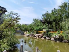 -聊城口腔医院