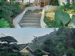 -南山植物园