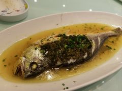 舟山深海黄鱼-骏莱海鲜鱼港(五角场店)