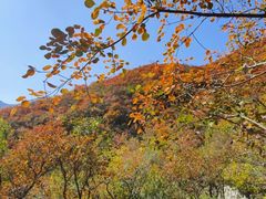 -北京西山国家森林公园