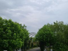 -尚贤河湿地