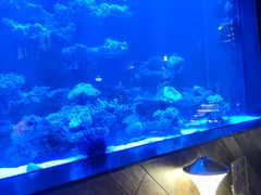 -暹罗酒肆泰餐厅酒吧