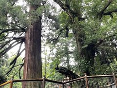 -庐山风景区花径公园