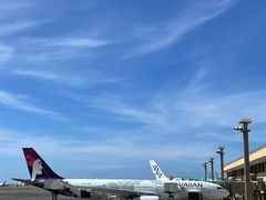 -全日本空输株式会社(上海办事处)