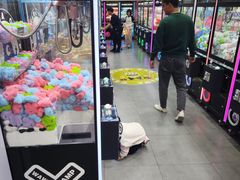 -娃娃集合营(上海奉贤龙湖天街店)