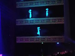 -水秀国际大剧院