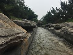 -太阳部落