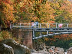 -光雾山旅游景区