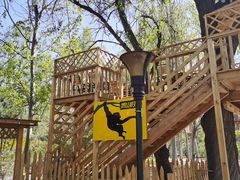 -朝阳公园游乐园