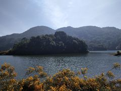 -广州市石门国家森林公园