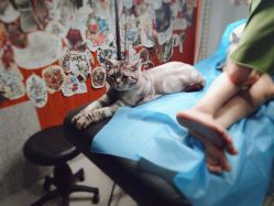 -幸运7纹身刺青Lucky7tattoo