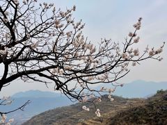 -水峪民俗村