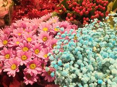 -双季花艺园艺市场(浦东店)