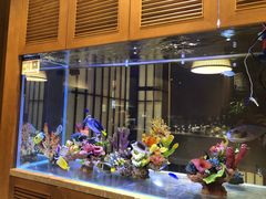 -水之惠鲜鱼料理(王府大街店)