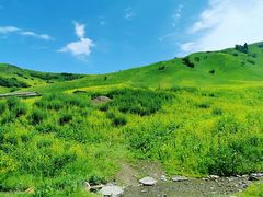 -新疆那拉提国家旅游度假区