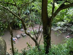 -阳台山森林公园
