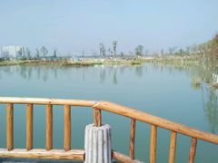 -瑶湖郊野森林公园