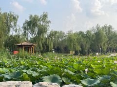 -太阳宫公园