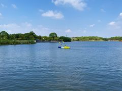 -营地公园·团建拓展·亲子户外(奉贤店)