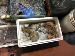 -香满居张记小厨私房菜(青岛站店)