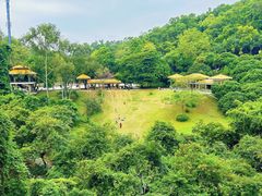 -东莞市大岭山森林公园