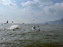 -滇池海埂公园