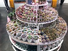 -KKV(深圳kk one 店)