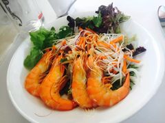 -悉尼歌剧院