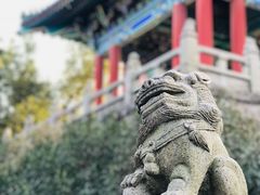 -阅江楼风景区