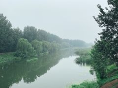 -东郊湿地公园