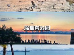 -深圳湾公园(南山区)