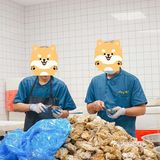 这家成都超火的生蚝自助，终于来上海了!