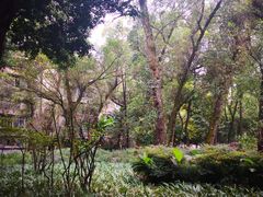 -四川大学(望江校区)