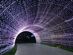 -秀丽东方